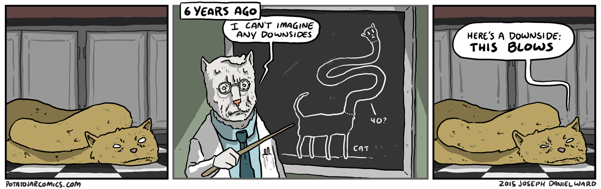I'm not sure I like cat science anymore